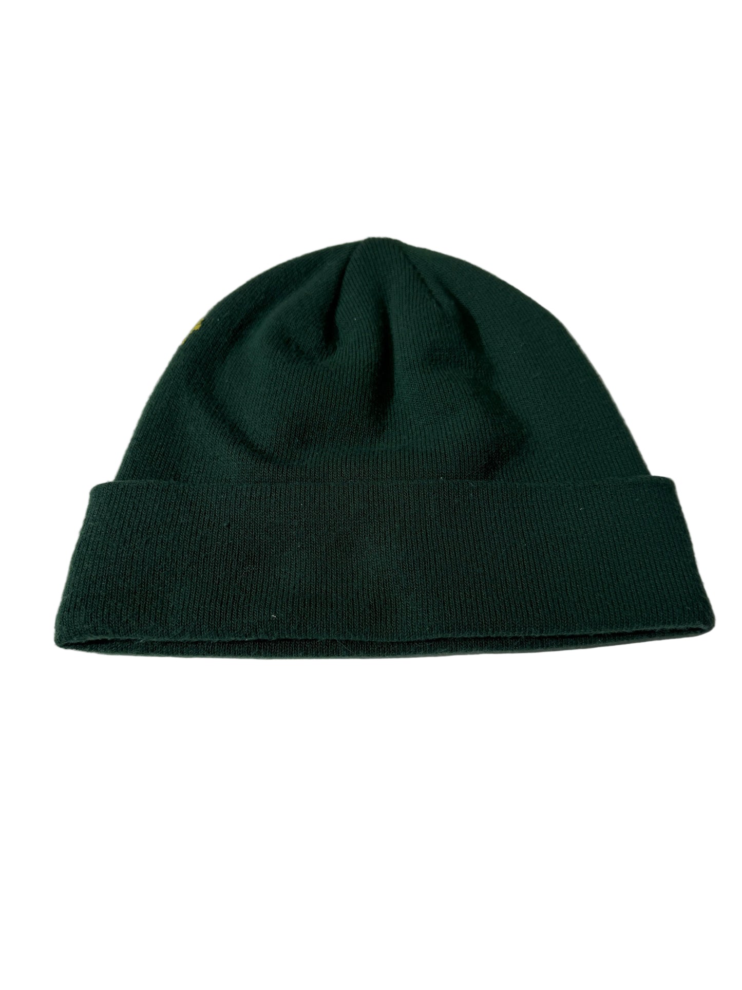 Arc’teryx Bird Word Toque Green/Yellow Beanie