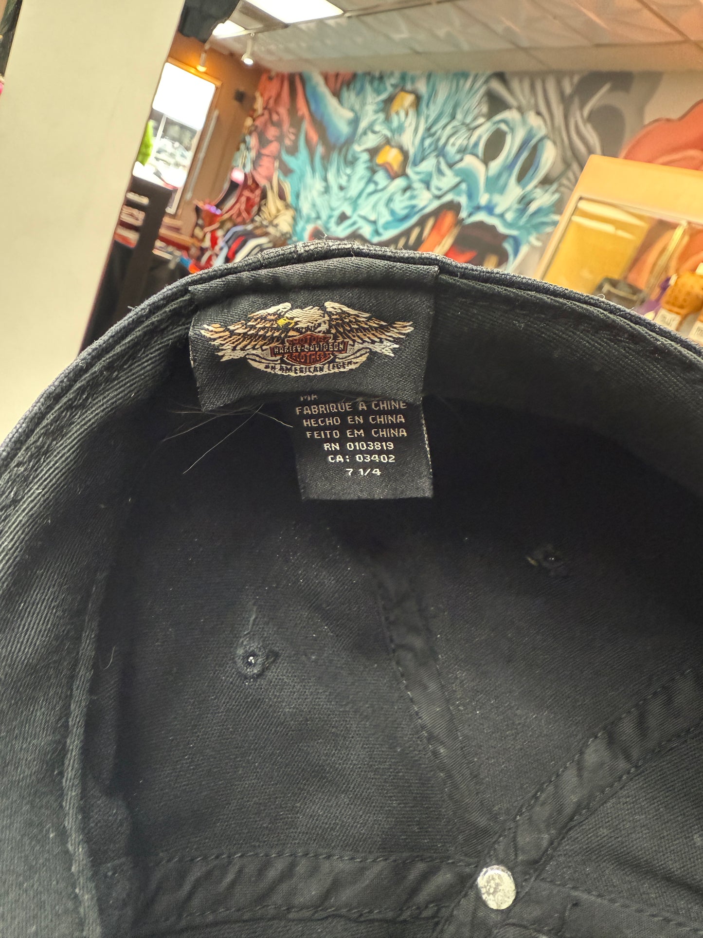 Vintage Harley Davidson Hat