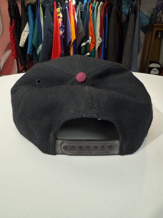 Vintage Spartans Snap