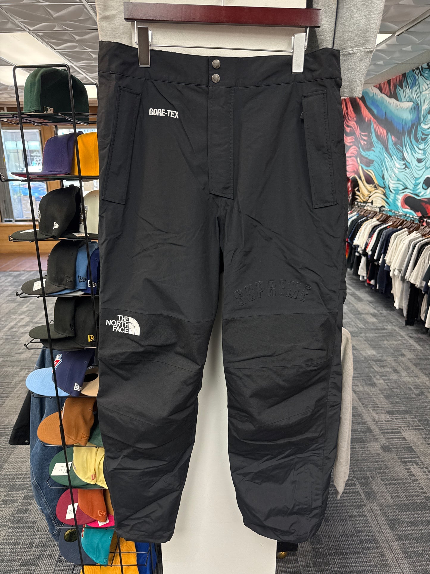 Supreme x The North Face Arc Logo Mountain Pants