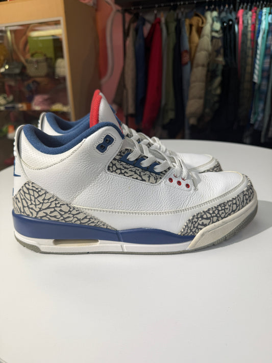 Preowned True Blue Jordan 3 (2016)
