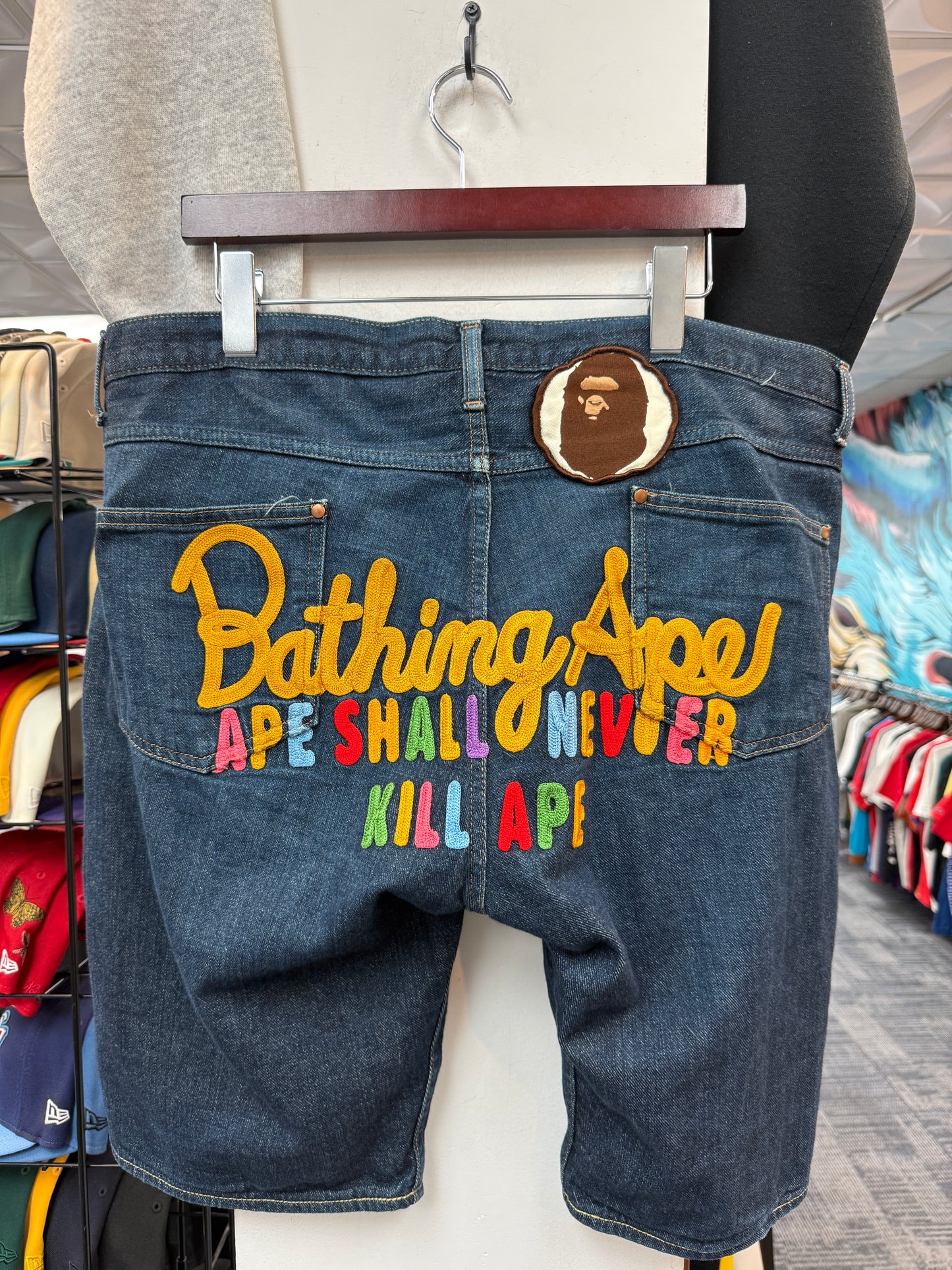 Bape Rainbow Embroidered Jorts
