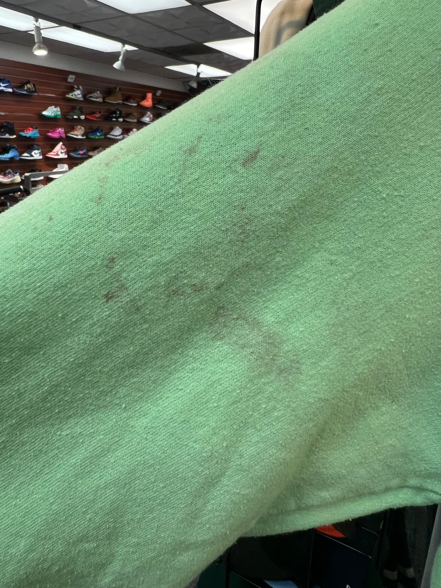 Burning Bush Mint Green Hoodie