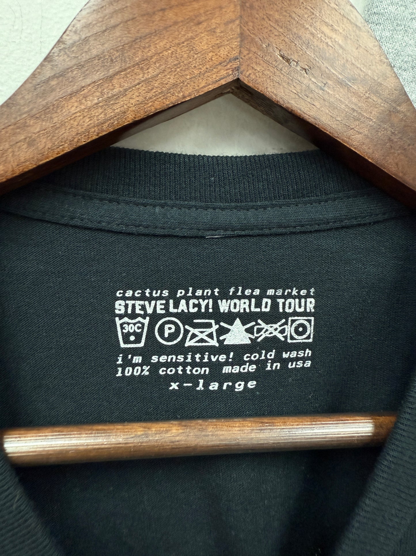 Steve Lacy Cactus Plant Flea Market Gemini Rights Tee