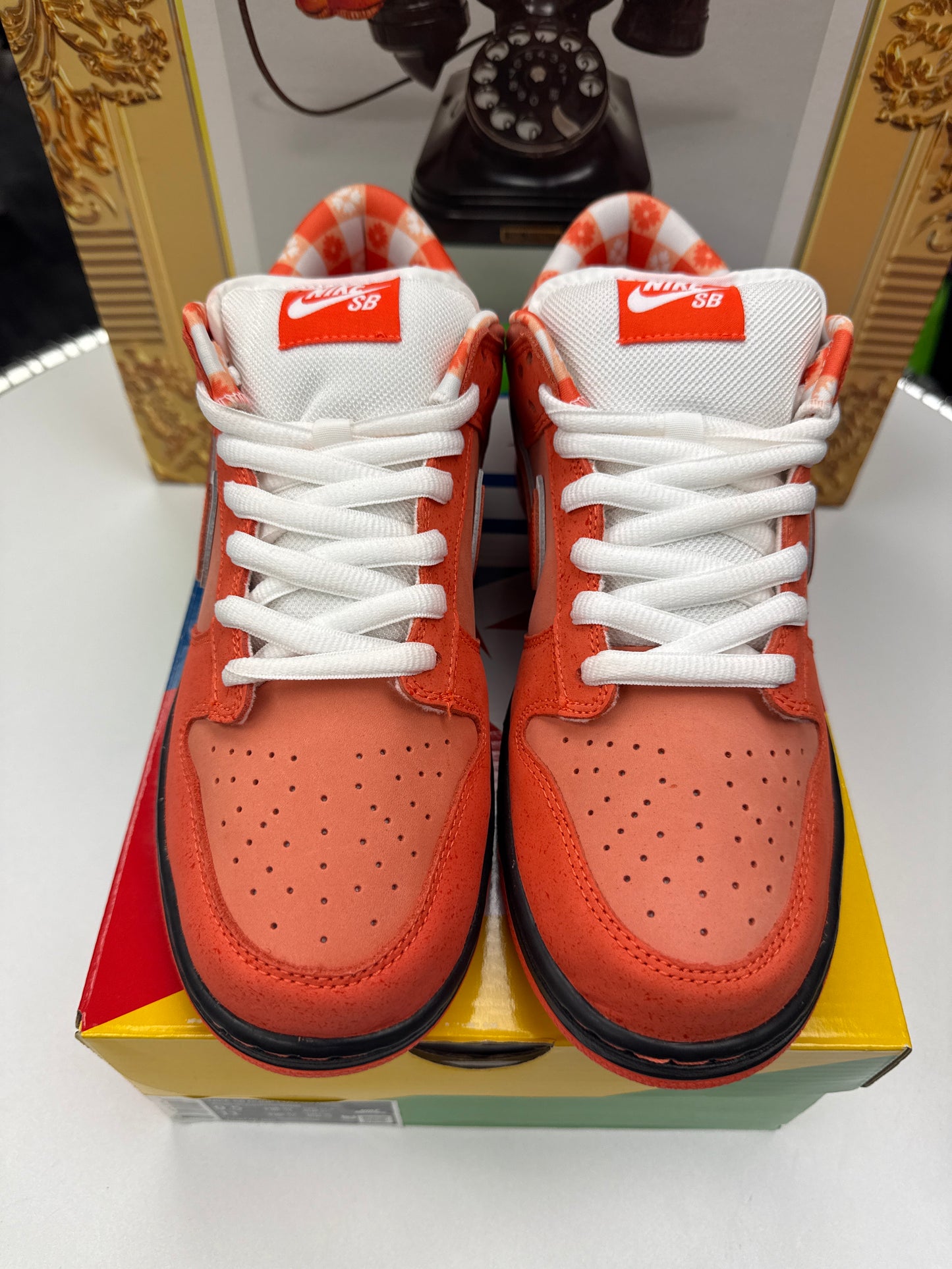 New Nike SB Dunk Low Orange Lobster (Special Box)