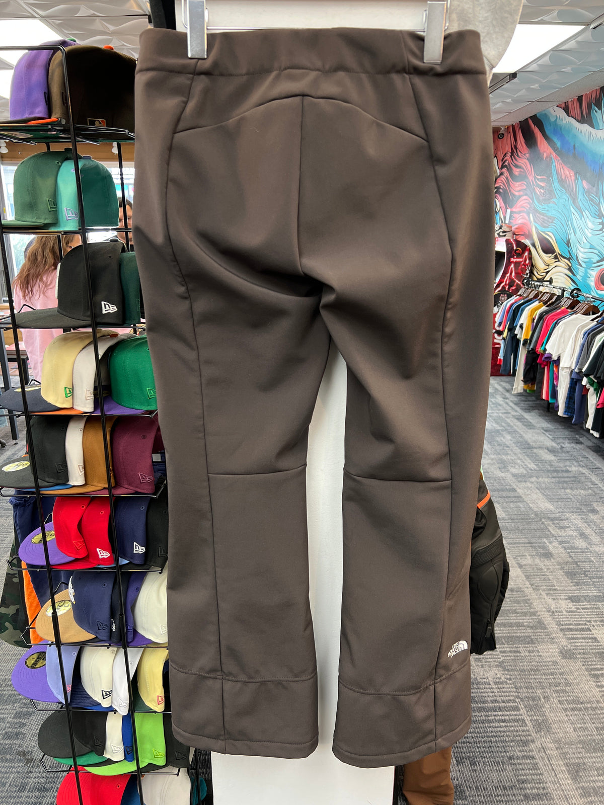 The North Face Apex Soft-Shell Snow Pants