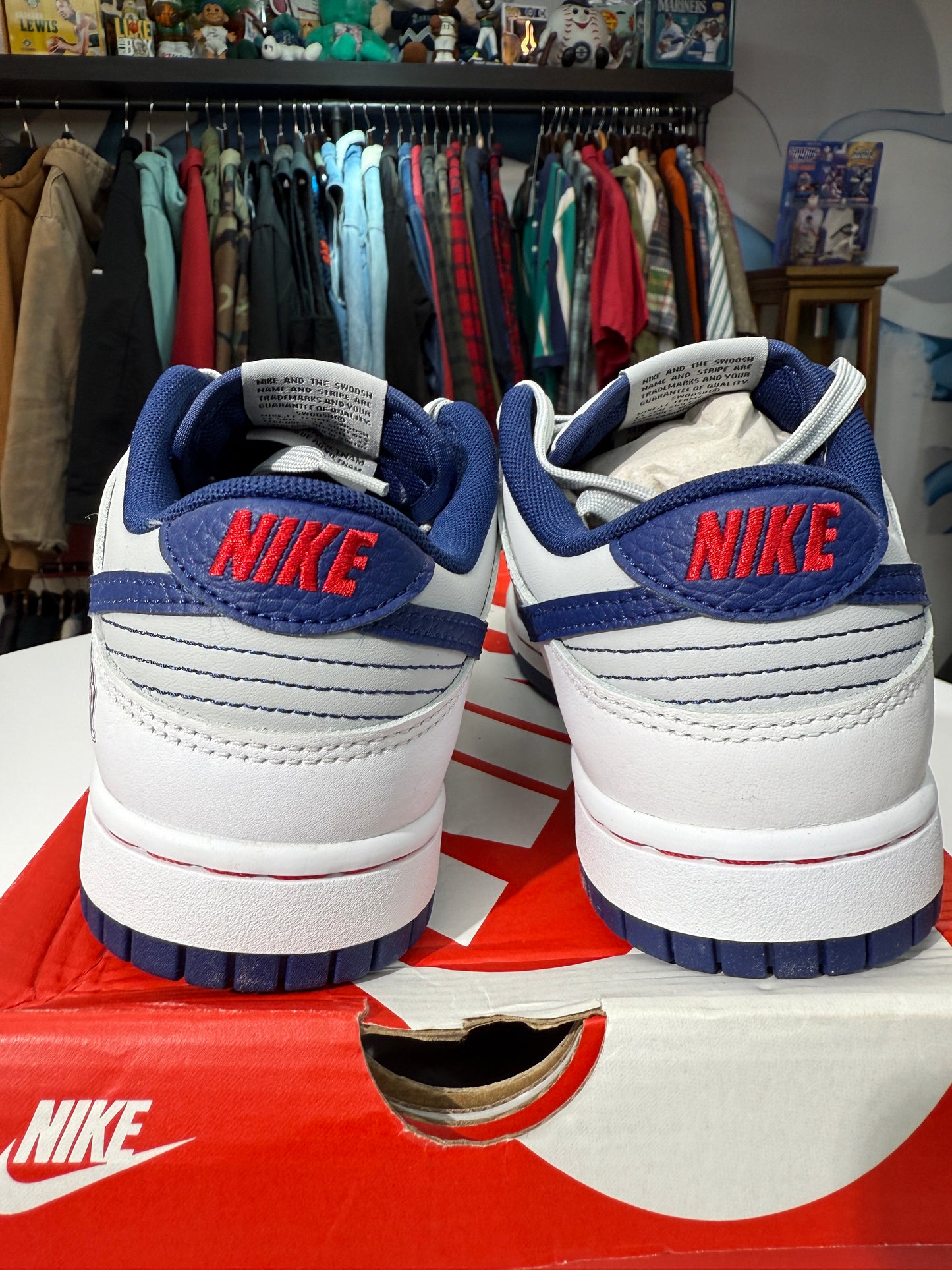 New Brooklyn Nets Nike Dunk Low