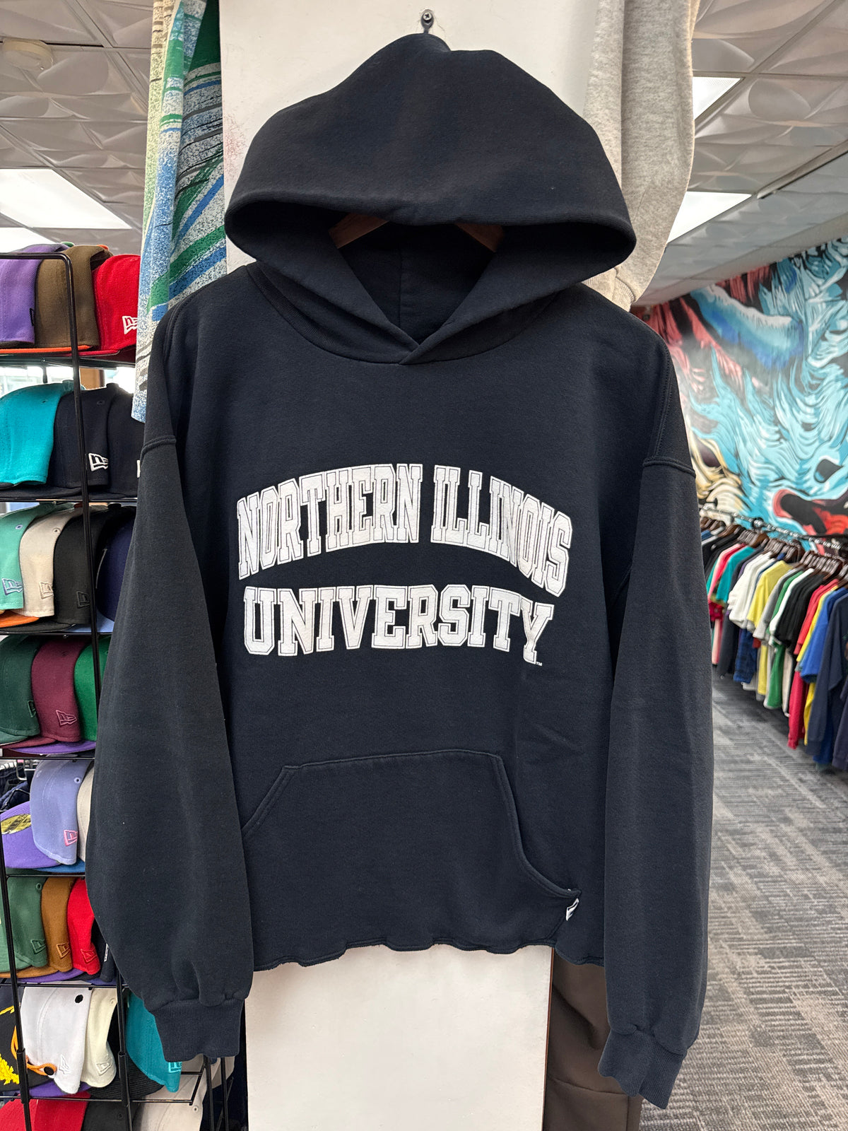 Vintage Russell Northern Illinois University Hoodie
