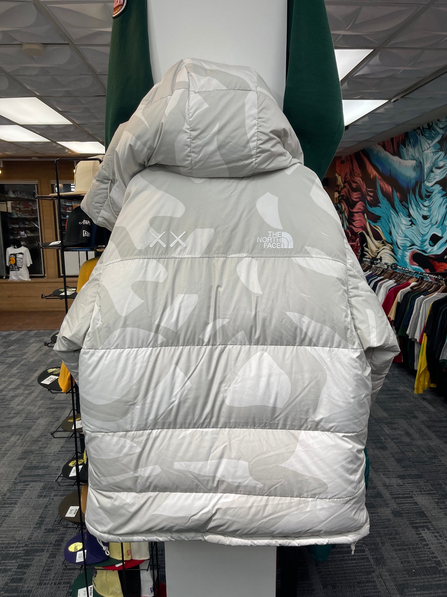 The North Face Kaws Himalayan Parka