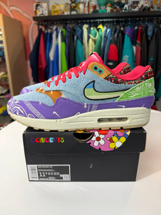 New Concepts Far Out Air Max 1