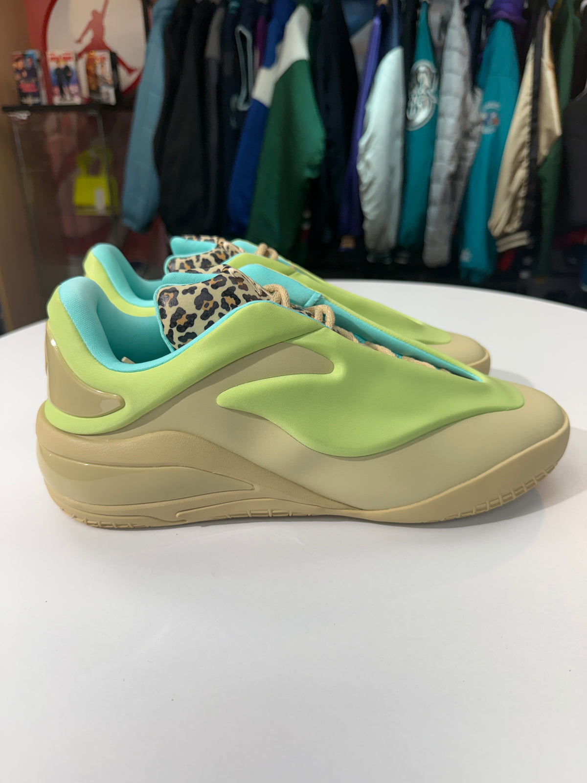 New Cheetah SHAI 001 Converse