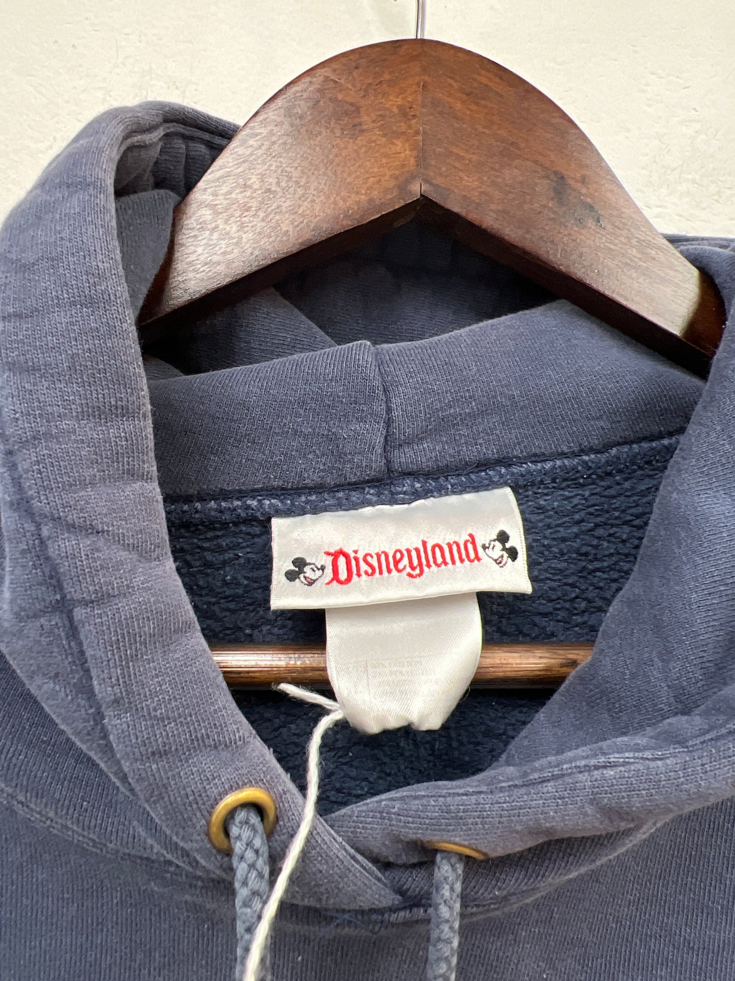 Vintage Disneyland Hoodie