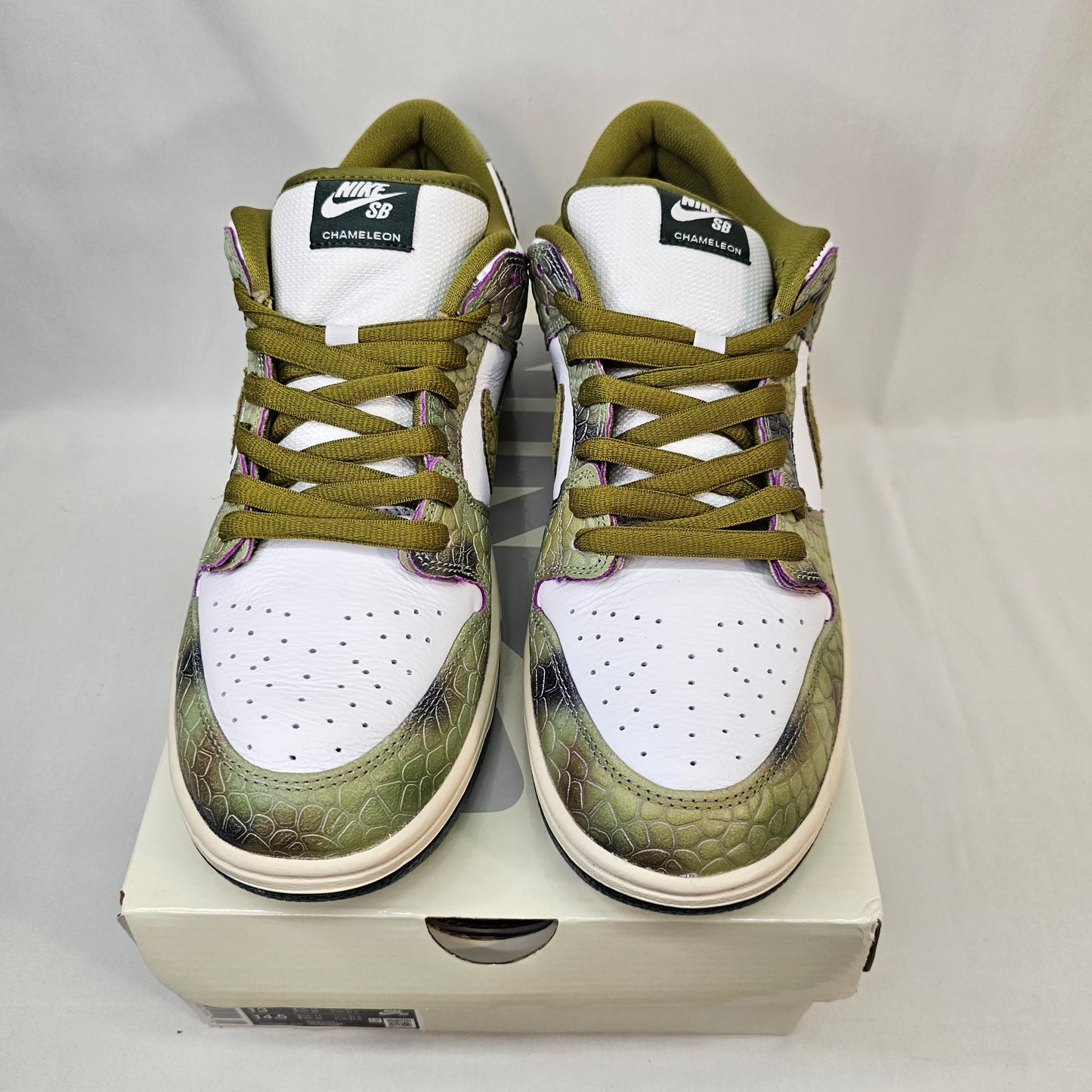 New Nike SB Dunk Low Chameleon