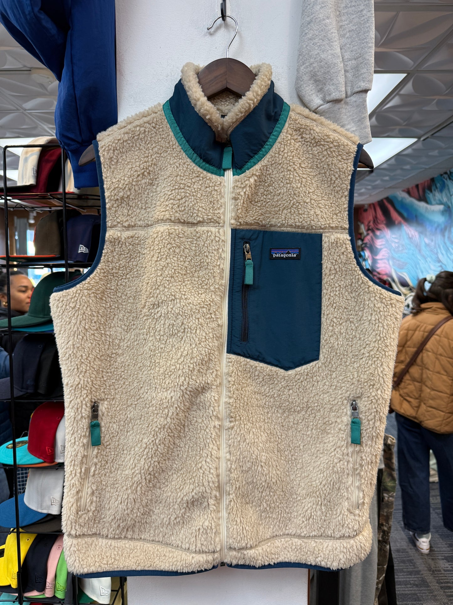 Patagonia Retro X Fleece Vest