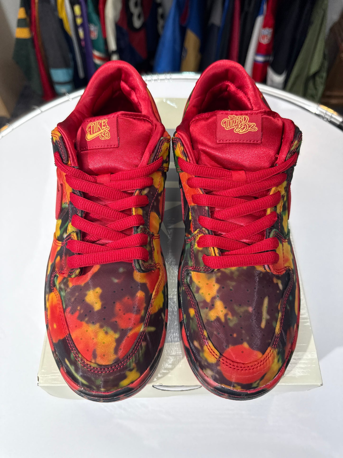 New Nike SB Dunk Low Wizard of Oz Poppy Field
