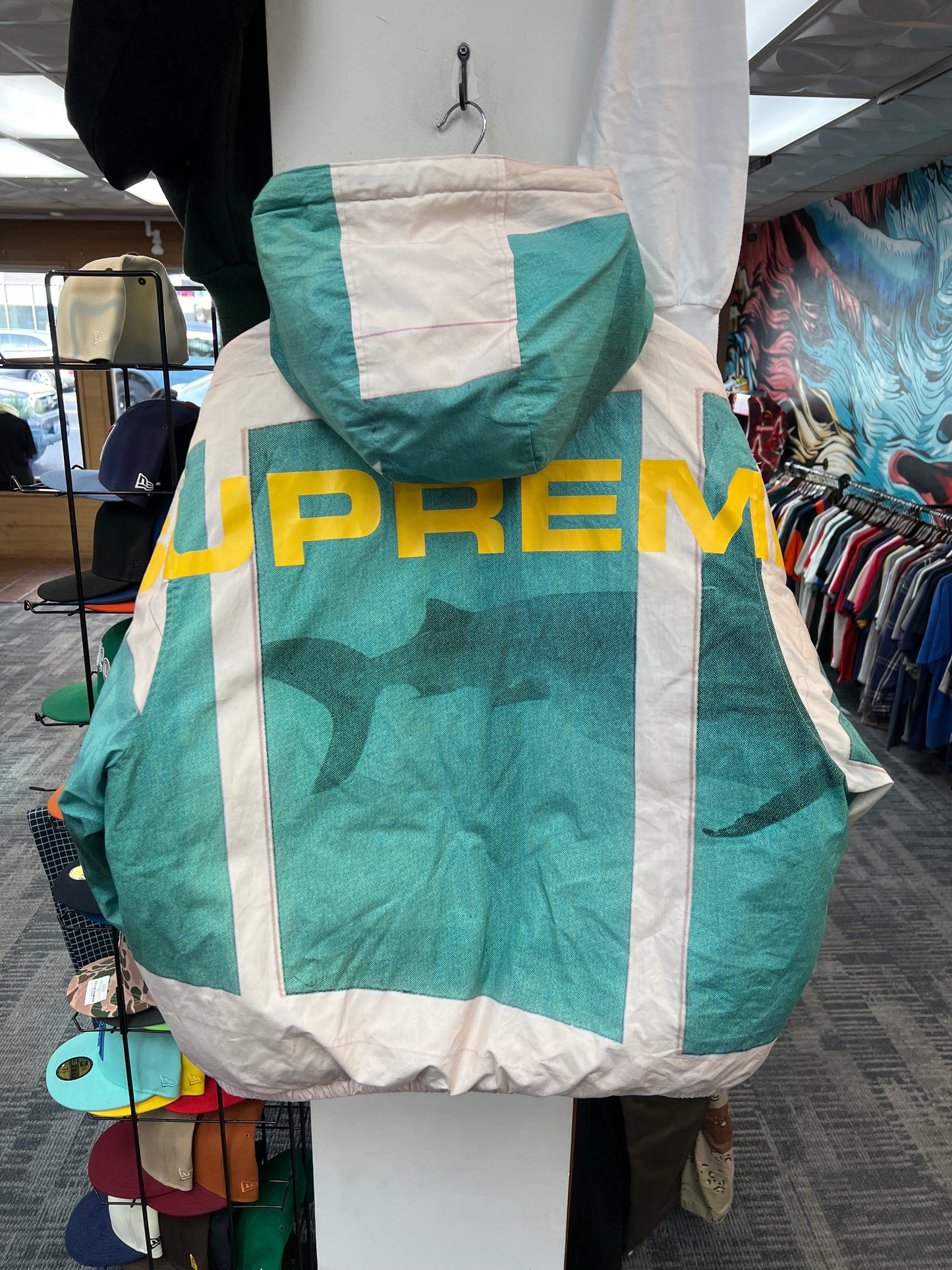 Supreme x Damien Hirst Down Puffer Jacket