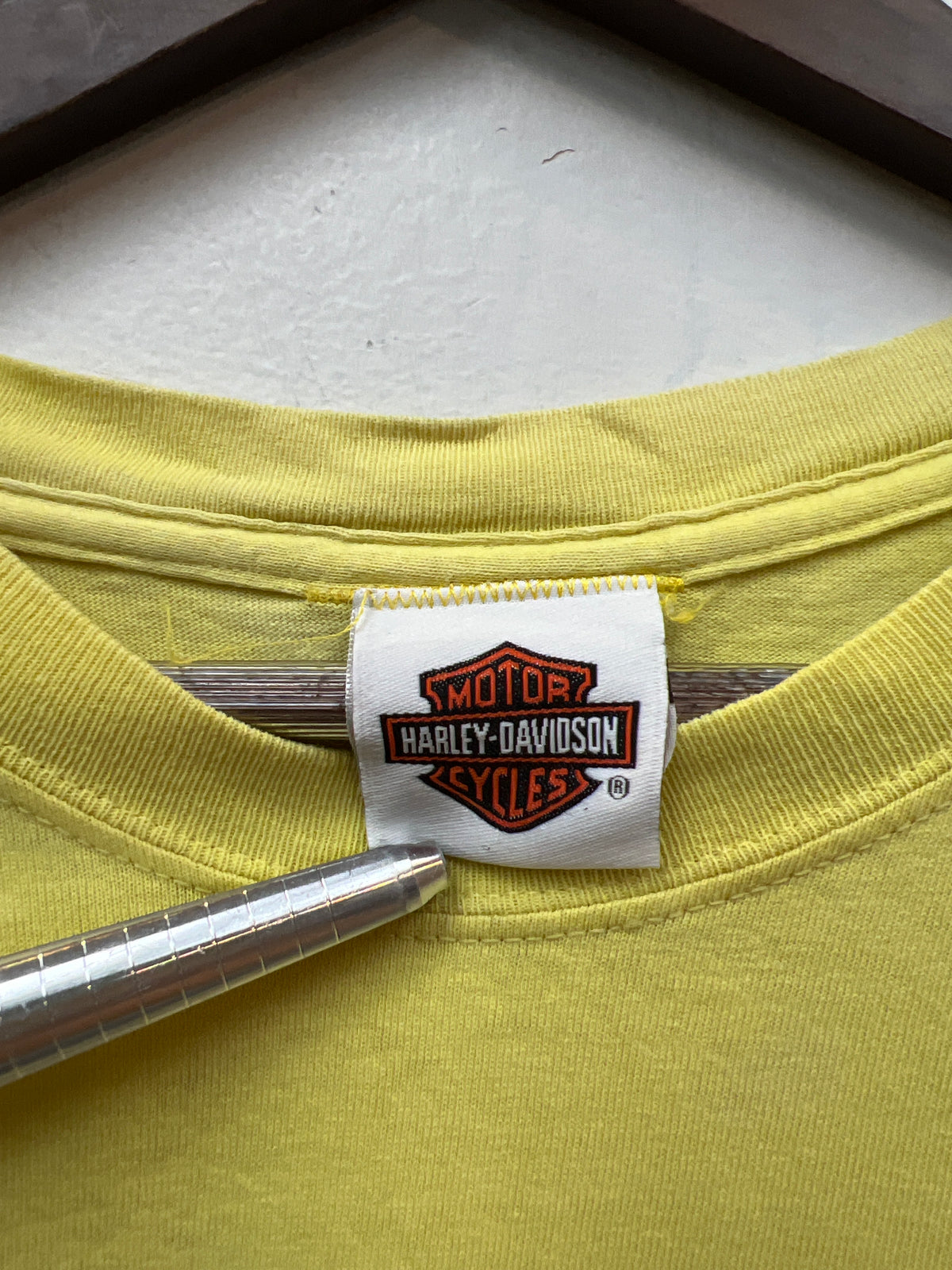 Vintage 2000s Harley Davidson Tribal Winged Gear Tee