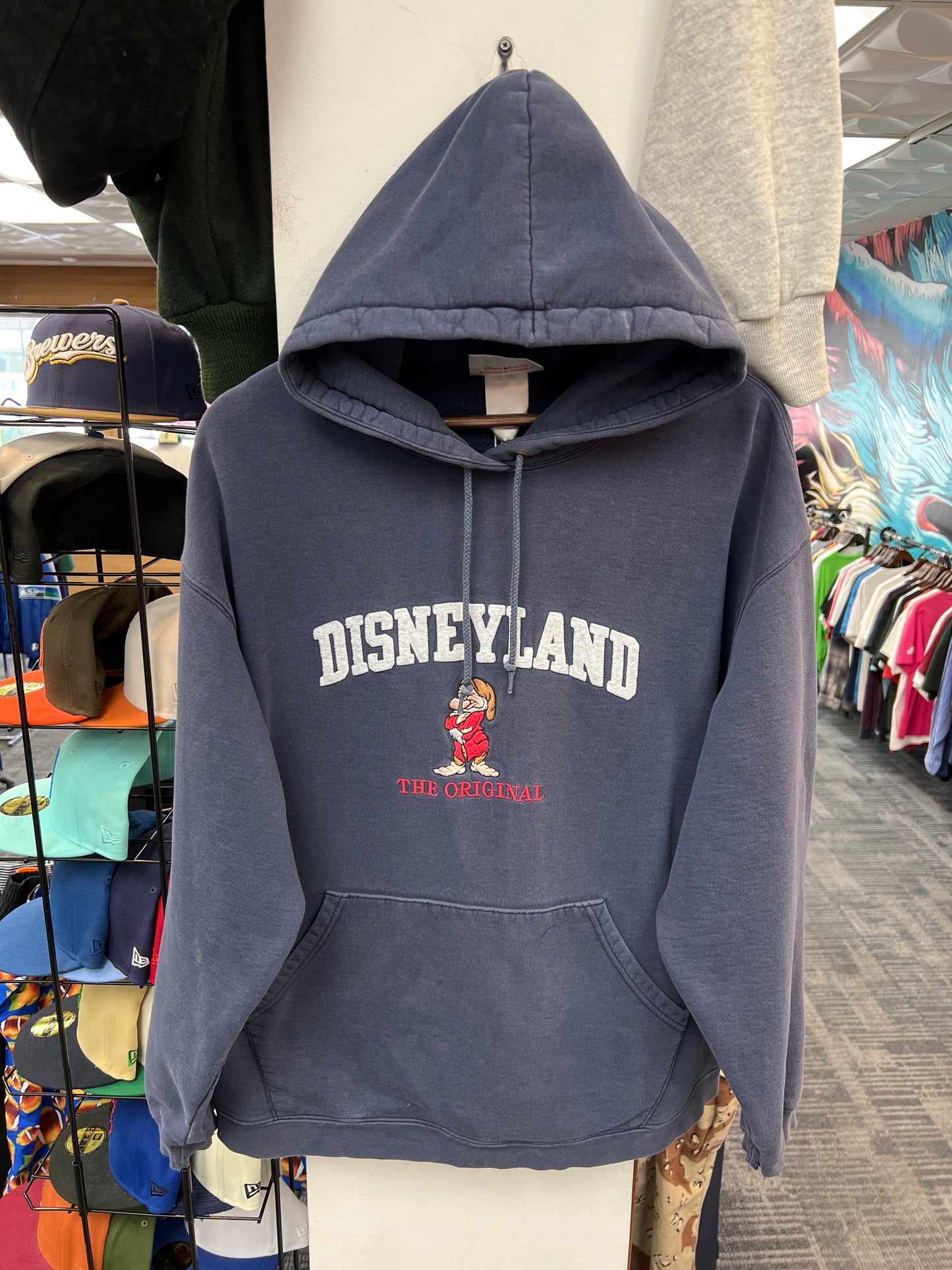 Vintage Disneyland Hoodie