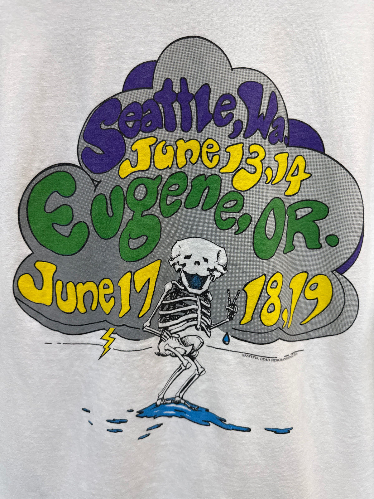 Vintage 1994 Grateful Dead PNW Tee