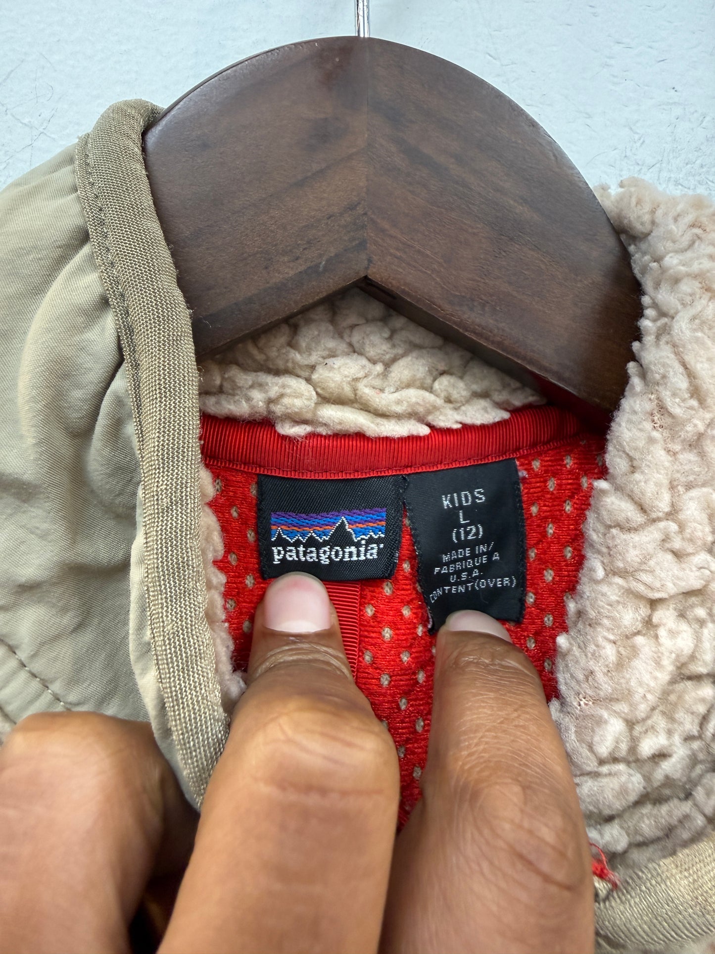 Patagonia Classic Retro-X Fleece Vest
