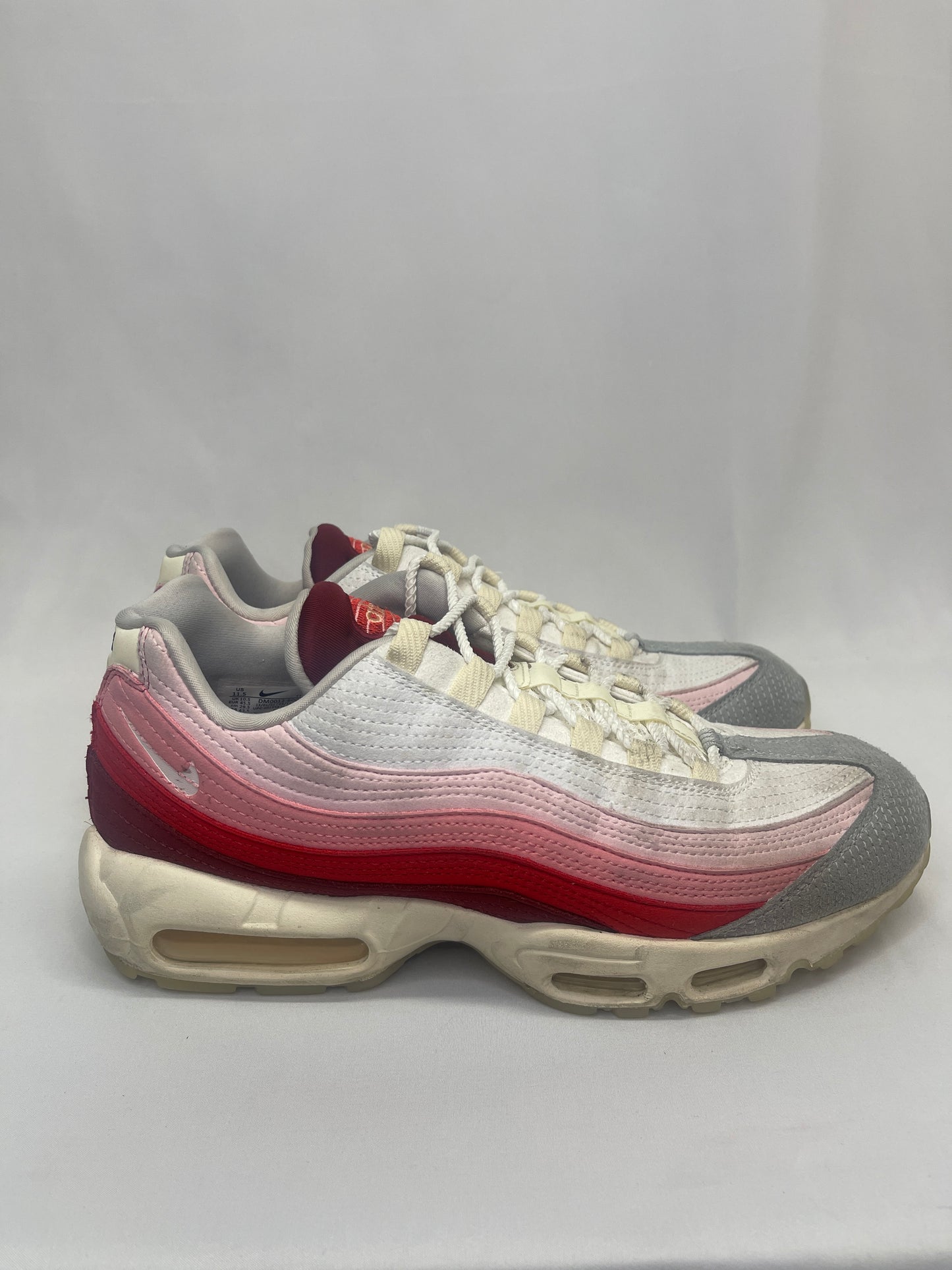 Preowned Air Max 95 Anatomy of Air