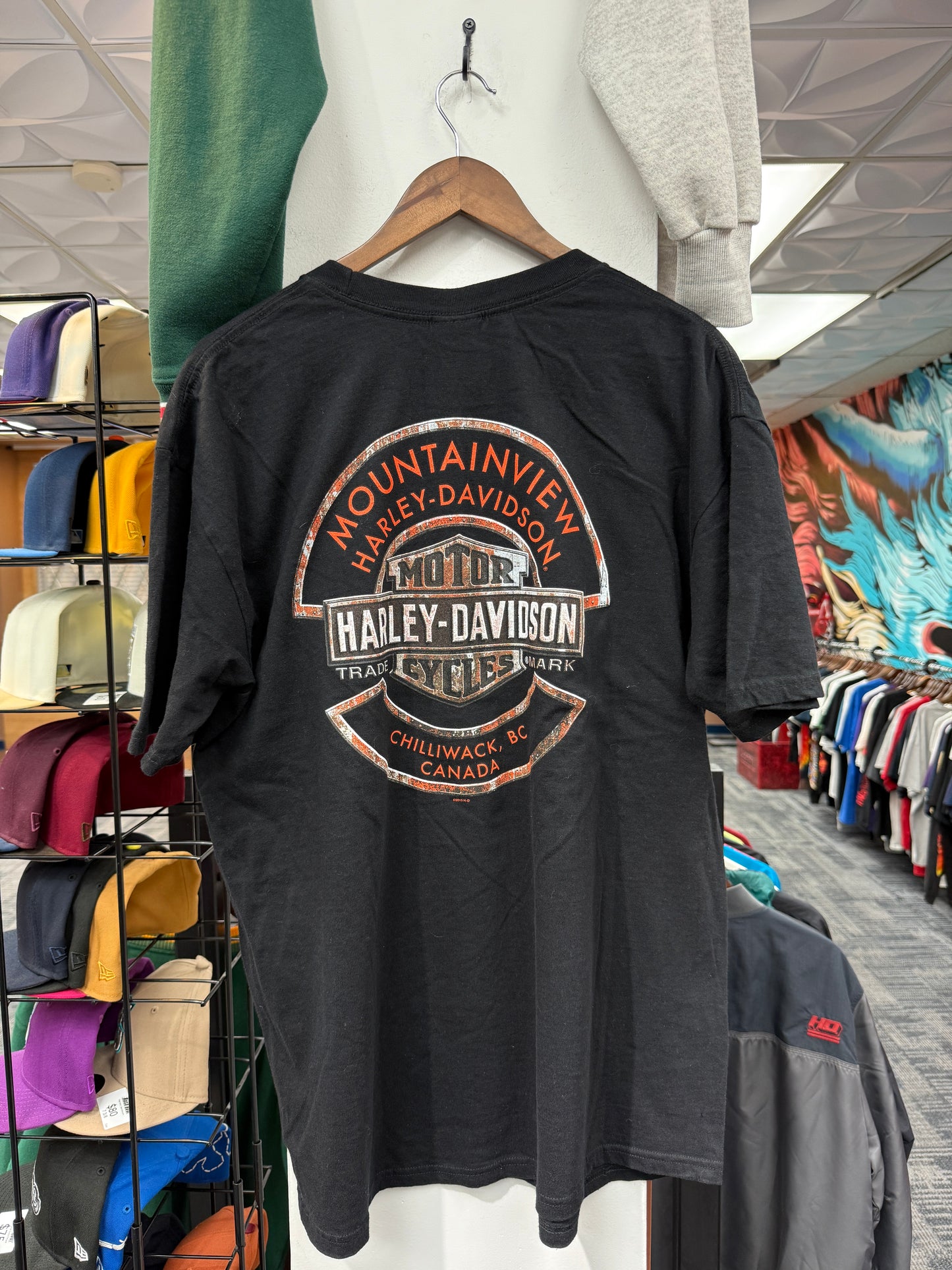 Harley Davidson Moutainview Tee