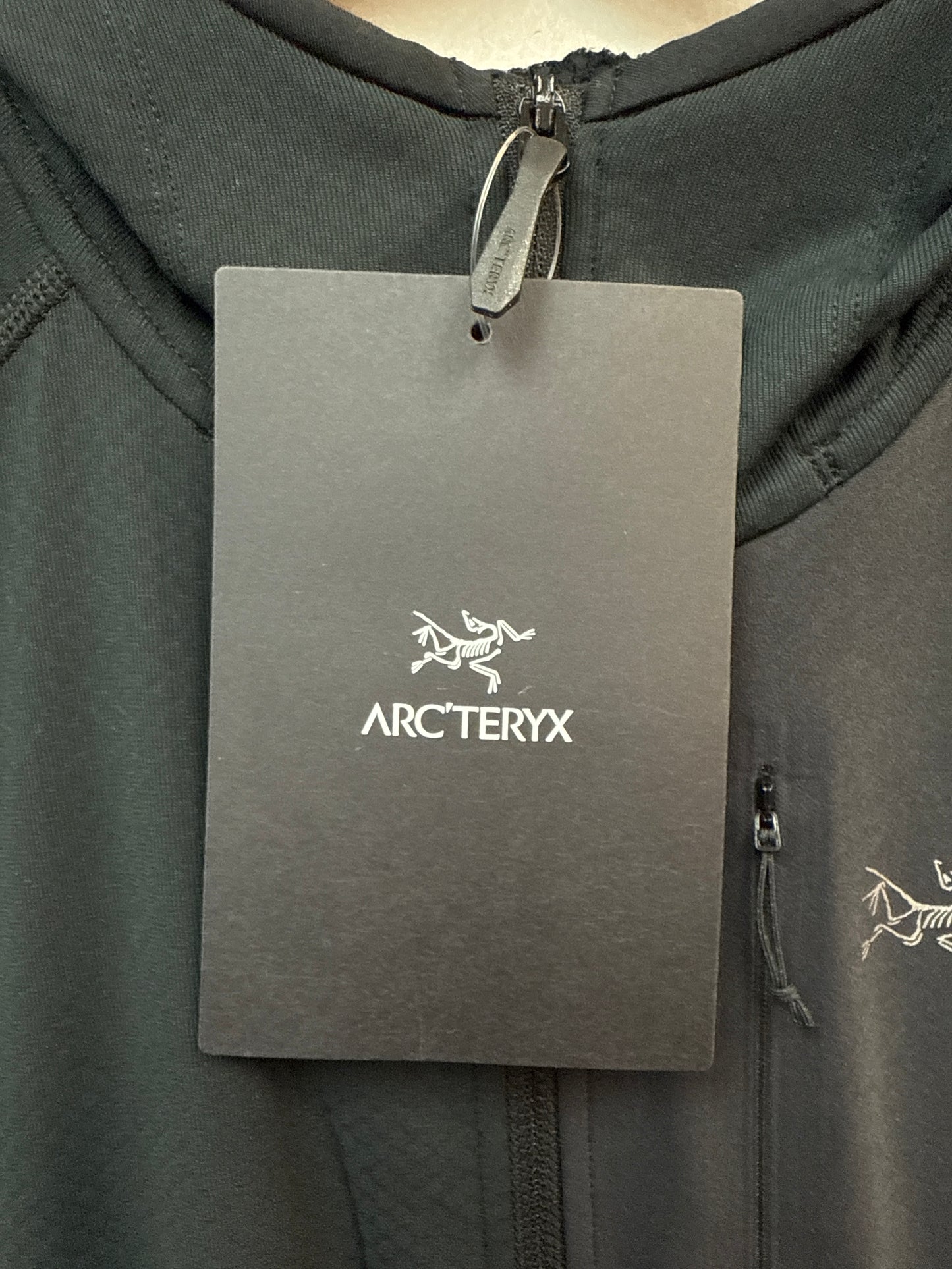 Arc’Teryx Delta Hoody (Black)