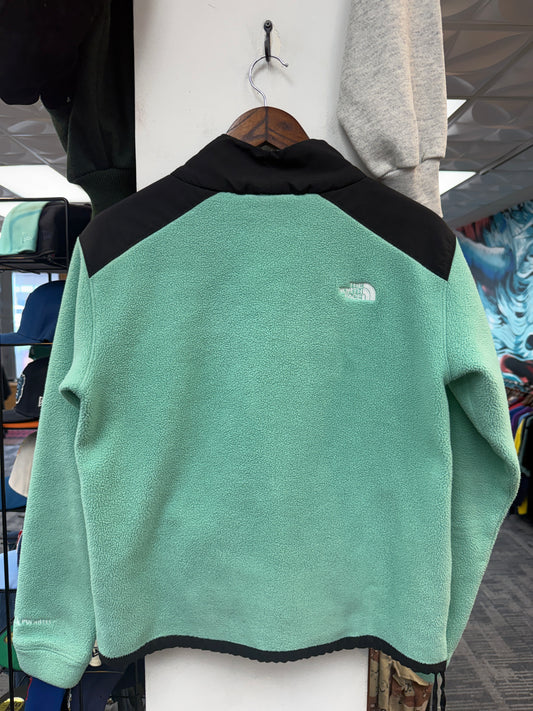 The North Face Alpine Polartec Quarter Zip
