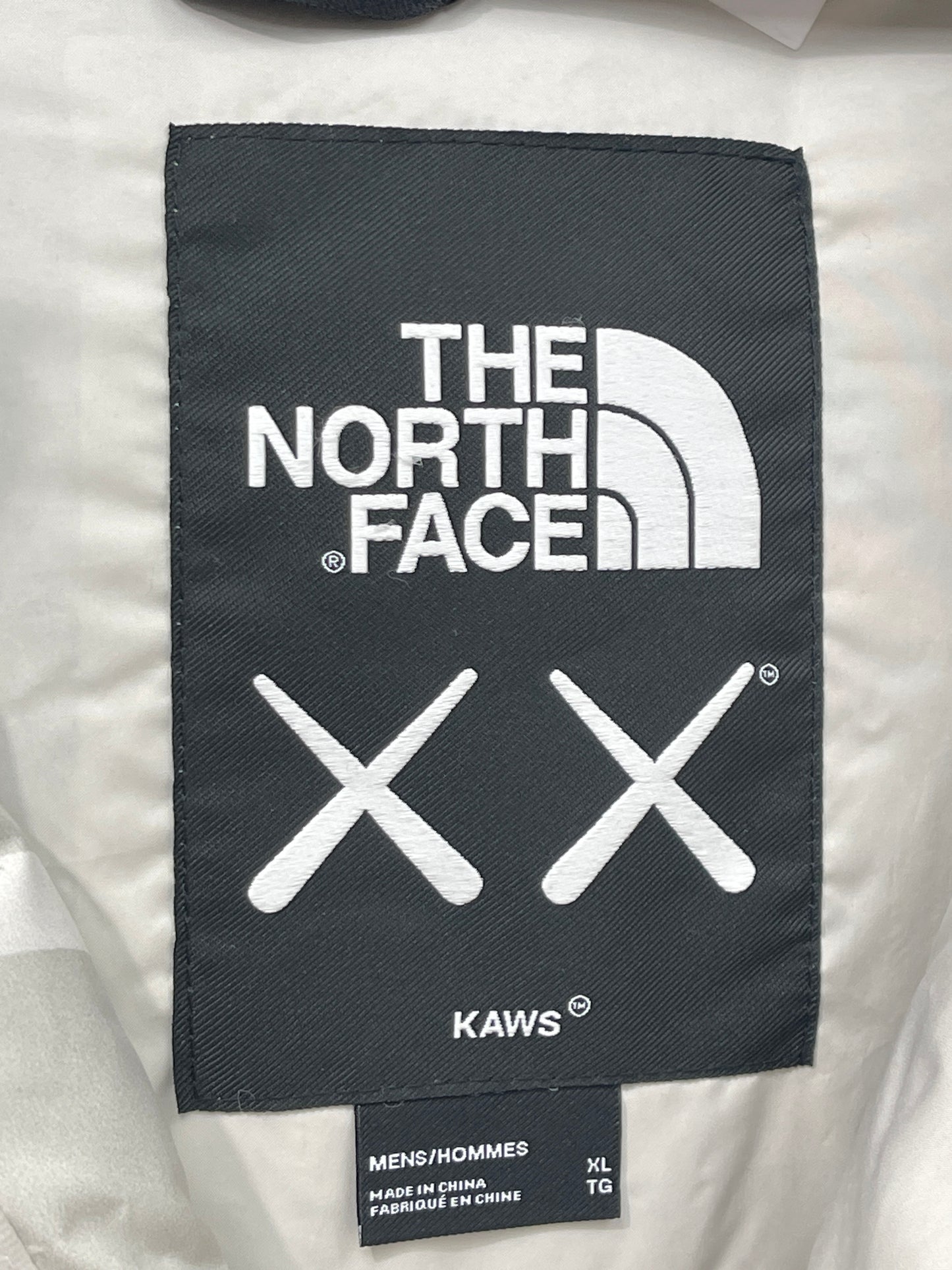 The North Face Kaws Himalayan Parka