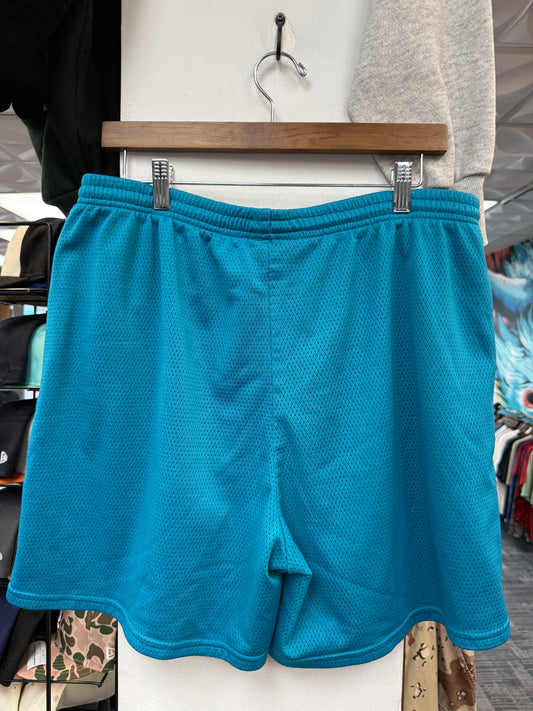 Vintage Nike Blue Mesh Shorts