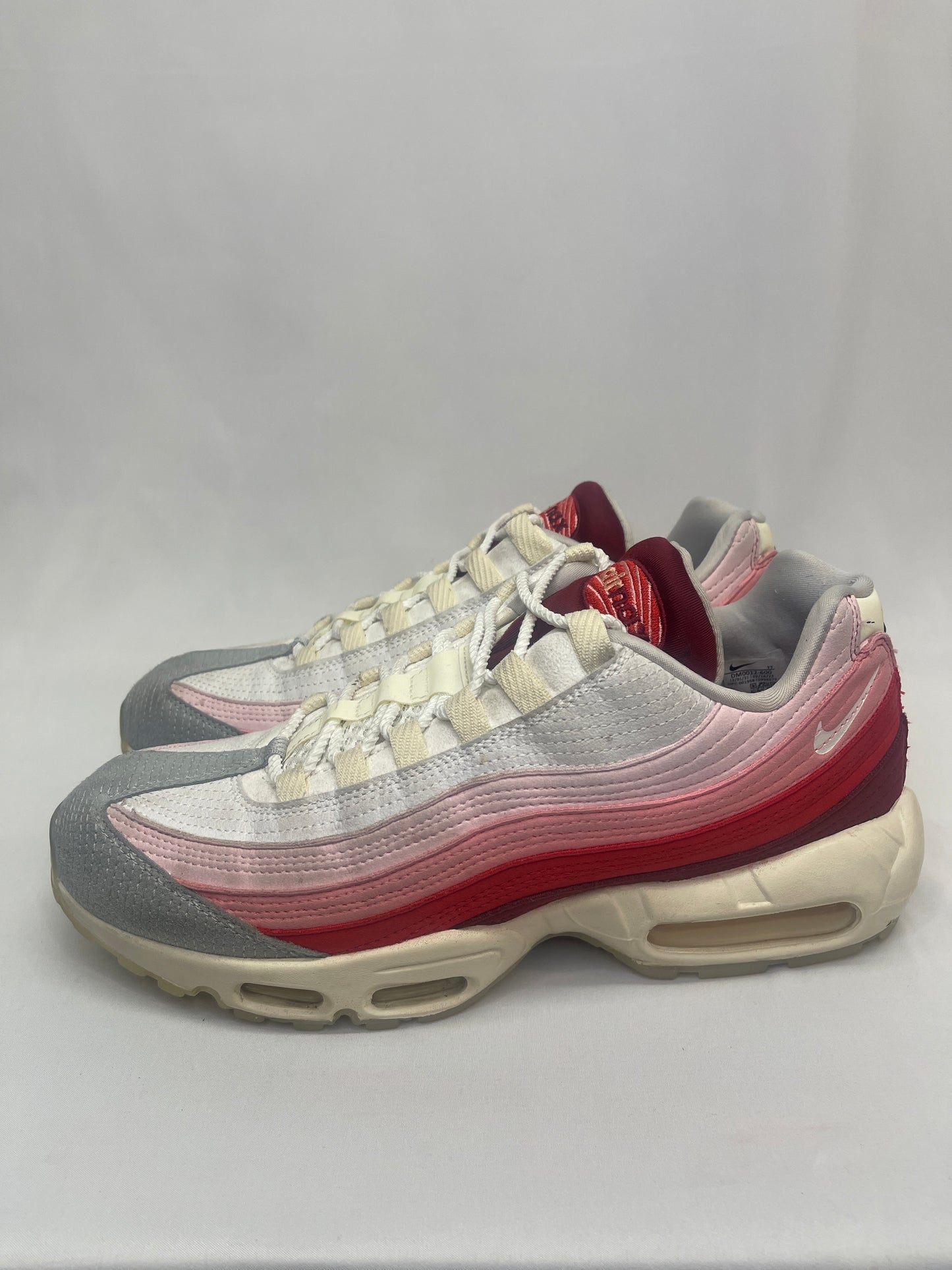 Preowned Air Max 95 Anatomy of Air