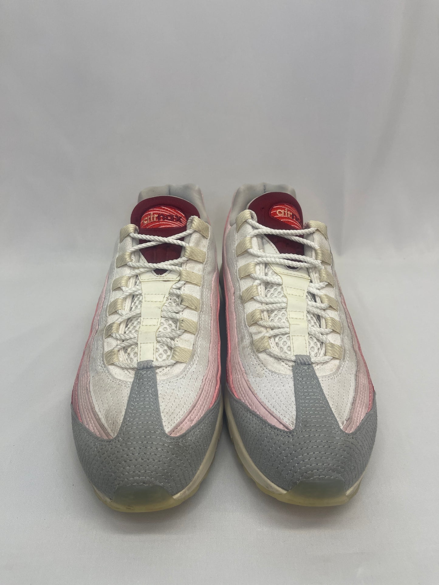 Preowned Air Max 95 Anatomy of Air