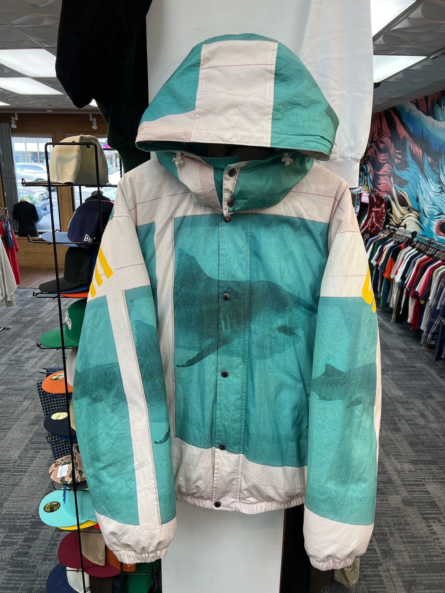 Supreme x Damien Hirst Down Puffer Jacket