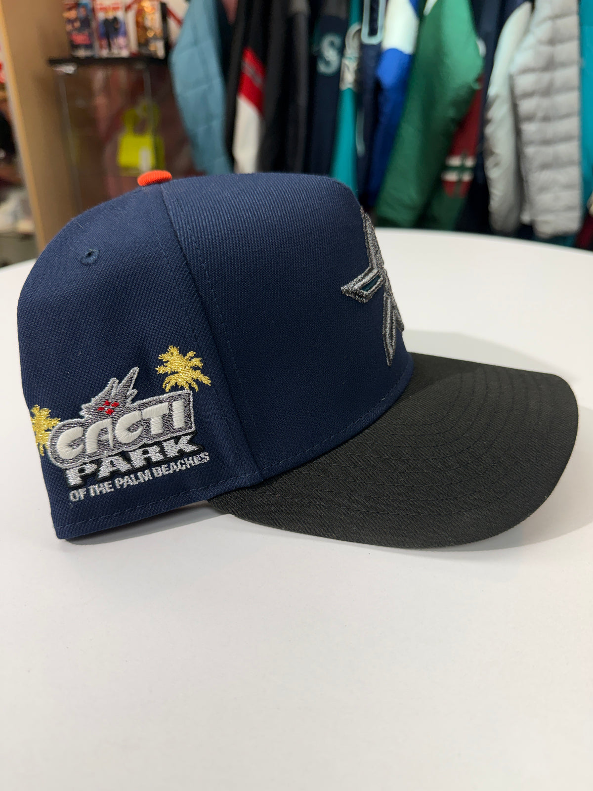Houston Astros Snap